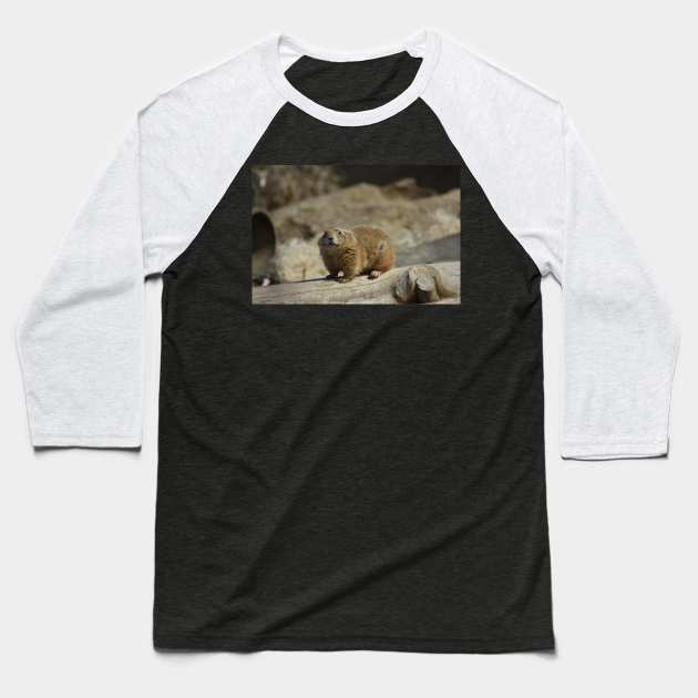 Prairie Dog Baseball T-Shirt by MarieDarcy